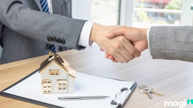 MNC là đất gì?