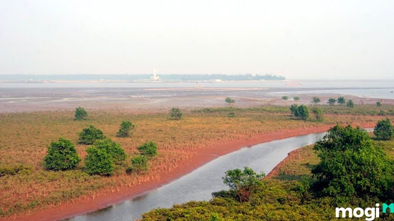 MNC là đất gì?