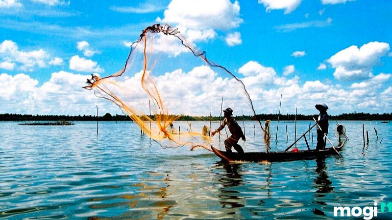 MNC là đất gì?