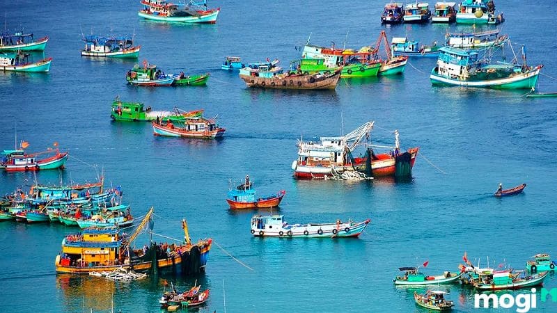 MNC là đất gì?