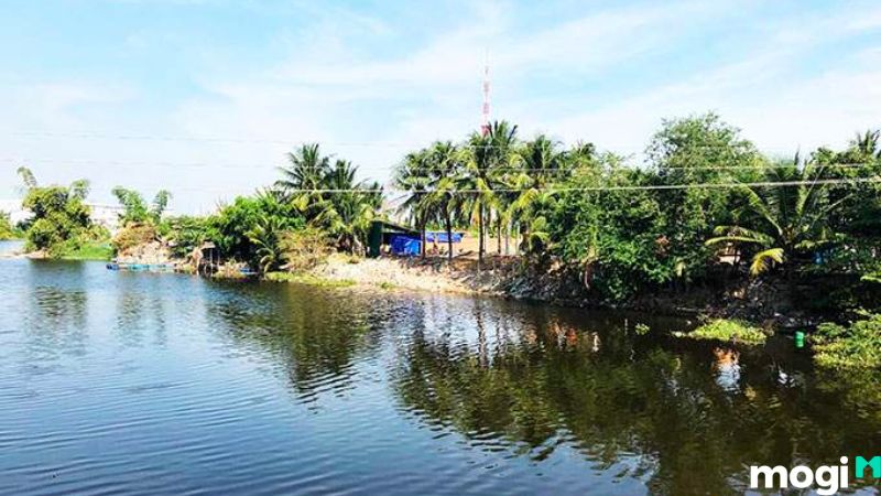 MNC là đất gì?