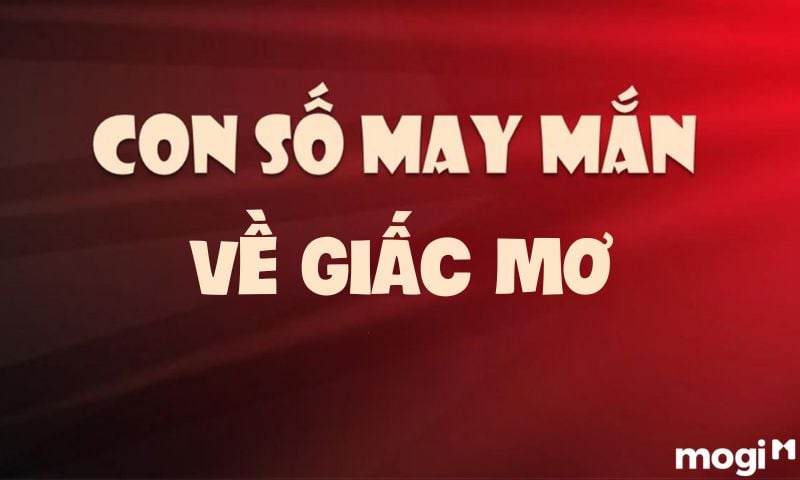 Con số may mắn về nằm mơ thấy máu là điềm gì?