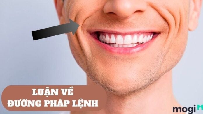 Đường Pháp Lệnh Là Gì? Cách Xem Tướng Qua Đường Pháp Lệnh Chuẩn