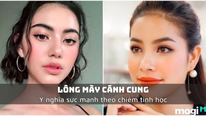 lông mày cánh cung