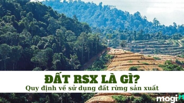 đất rsx là gì?