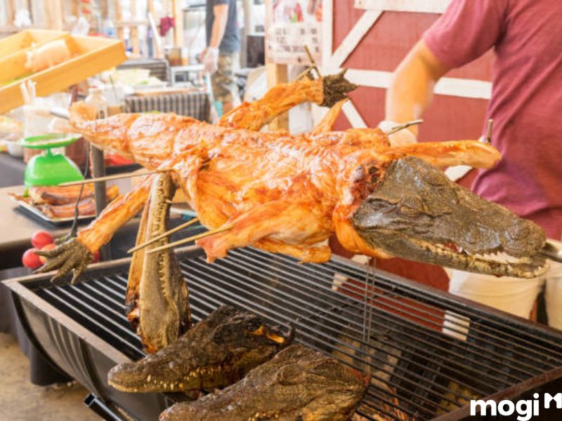 mơ thấy cá sấu