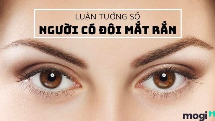 mắt rắn
