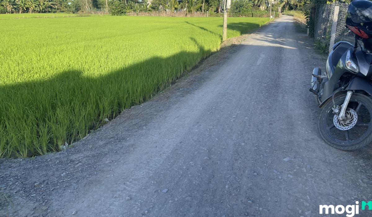 Lý do nên mua bán đất cần đước