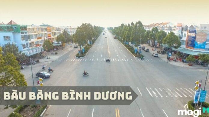 Bàu Bàng Bình Dương