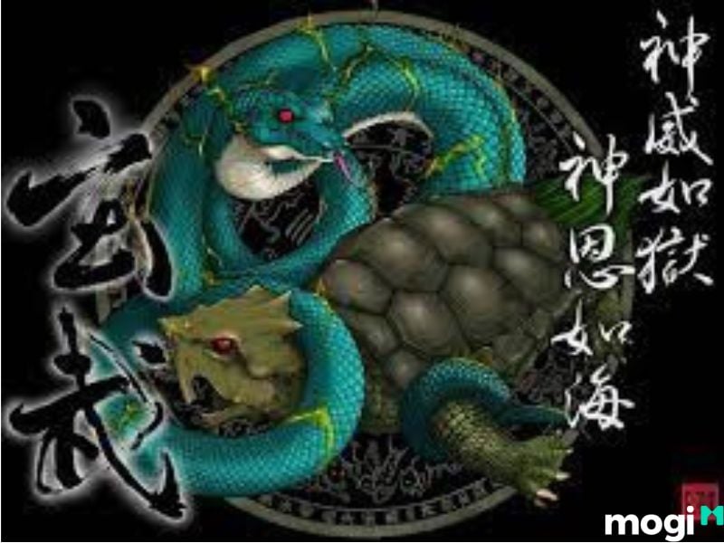 <strong>Huyền Vũ Thần Thú Là Gì? Ý Nghĩa Của Huyền Vũ Trong Phong Thủy</strong> 8 huyền vũ