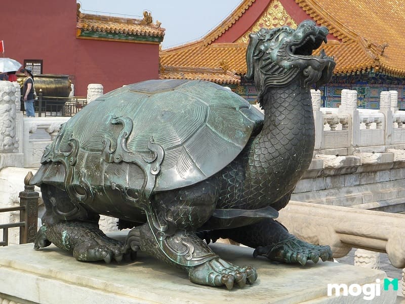 Long Quy còn có tên gọi khác là Rùa Đầu Rồng
