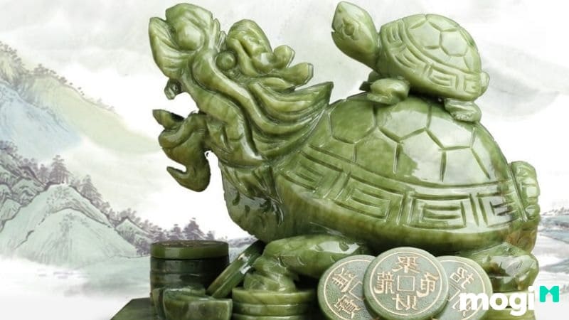 Hình ảnh Rùa Đầu Rồng cõng con