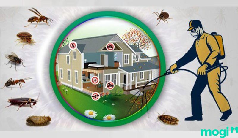 Bạn có thể nhờ sự hỗ trợ của các chuyên gia về côn trùng