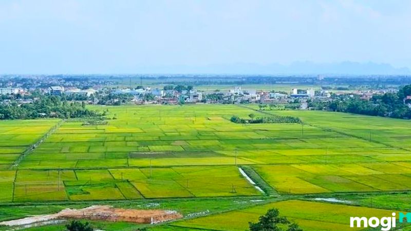 Quản lý Trải nghiệm tại MB66 Casino trực tuyến hàng đầu là gì?