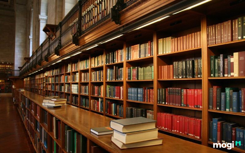 Cách Bảo Quản Sách Như Mới Không Sợ Ố Vàng Hay Cong, Mọt 2 cách bảo quản sách