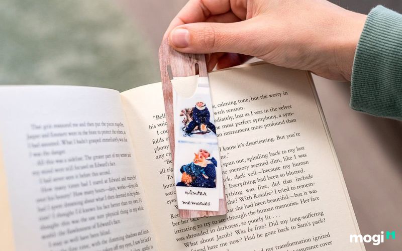 Cách Bảo Quản Sách Như Mới Không Sợ Ố Vàng Hay Cong, Mọt 7 cách bảo quản sách