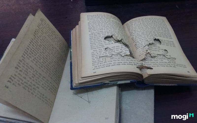 Cách Bảo Quản Sách Như Mới Không Sợ Ố Vàng Hay Cong, Mọt 14 cách bảo quản sách