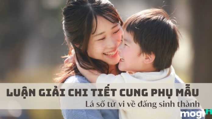 cung phụ mẫu