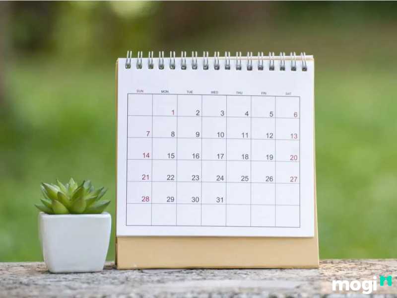 Ngày hoàng đạo là gì?