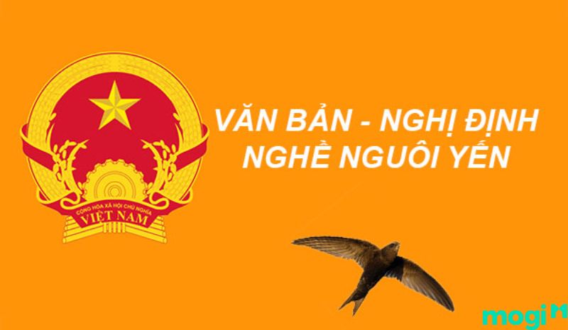 Chủ Trang MB66.COM Chính Thức - MB 66 Uy Tín cần phải hoàn thiện các hồ sơ liên quan đến việc xây dựng nhà nuôi yến