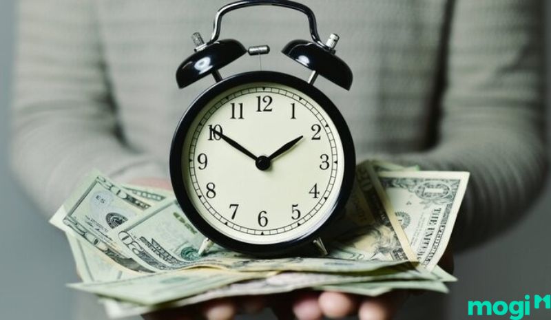 Chi phí xây dựng nhà nuôi yến - Thời gian thu hồi vốn sẽ nhanh nhất là 3 ~ 5 năm