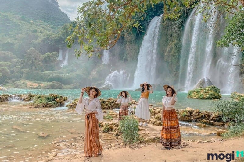 Cung tật ách