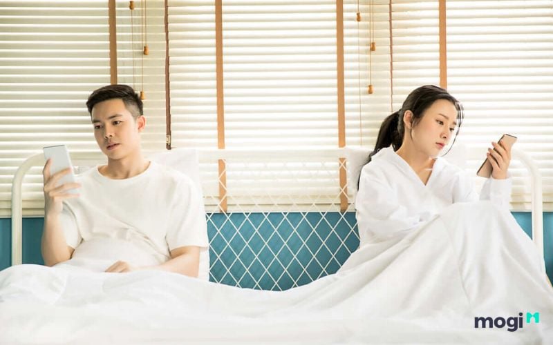 Cung Phu Thê Là Gì? Ý Nghĩa Các Sao Tại Cung Phu Thê 16 Cung Phu Thê