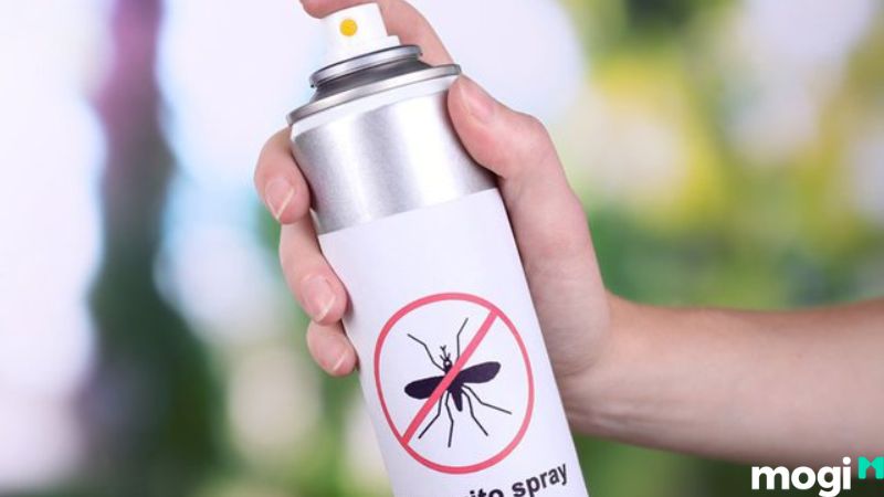 Cách đuổi cóc ra khỏi nhà
