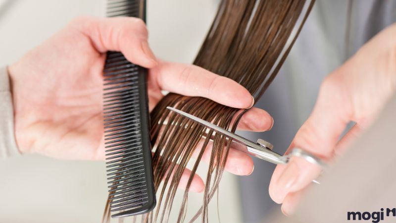 Những lưu ý khi chọn ngày tốt cắt tóc tháng 11