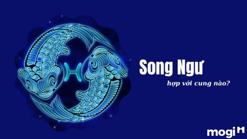 <strong>Tháng 2 Cung Gì? Giải Mã Vận Mệnh Và Ngành Nghề Phù Hợp</strong> 19 tháng 2 cung gì