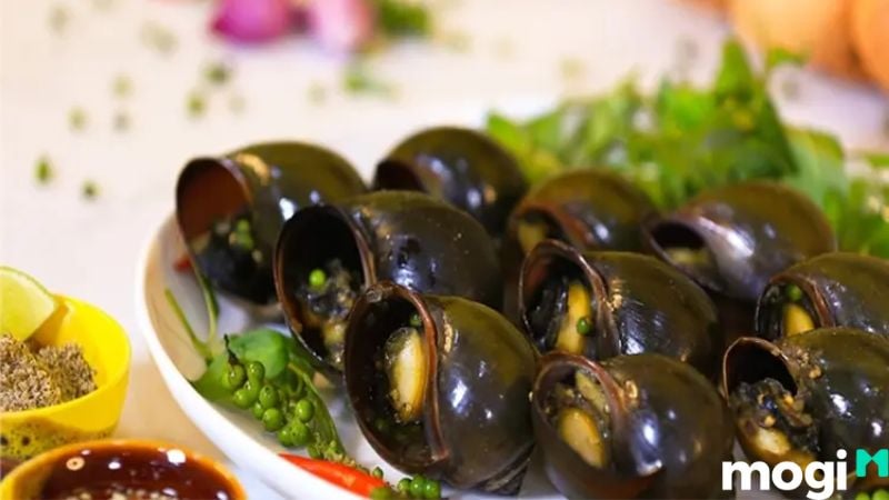 đồng sen Tháp Mười