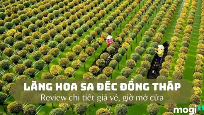làng hoa sa đéc Đồng Tháp