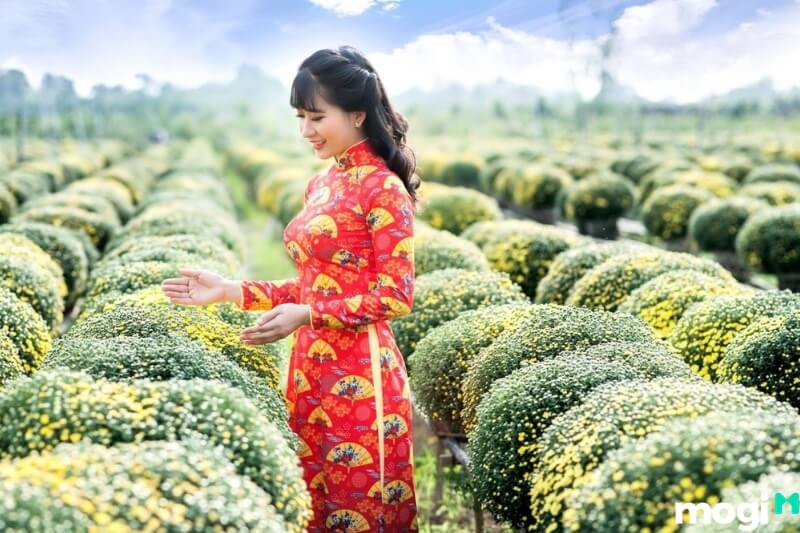 Thời điểm lý tưởng nhất để du lịch Sa Đéc và tham quan làng hoa đó là khoảng tháng 12 âm lịch.