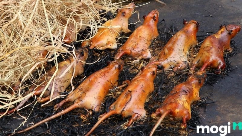 đồng sen tháp mười