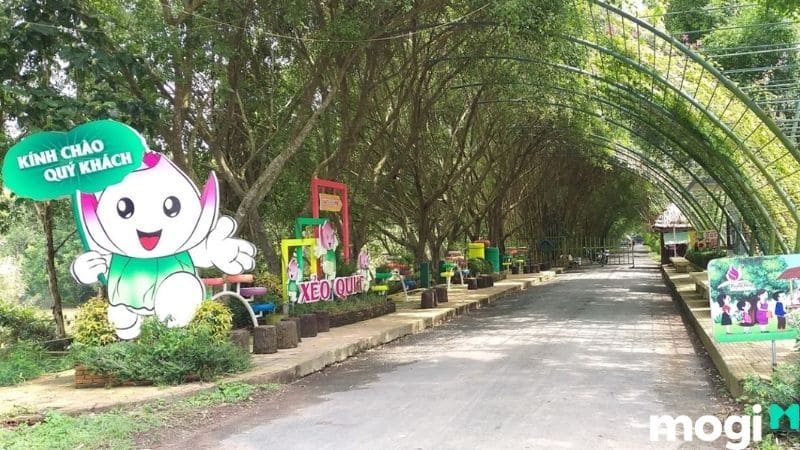 đồng sen tháp mười