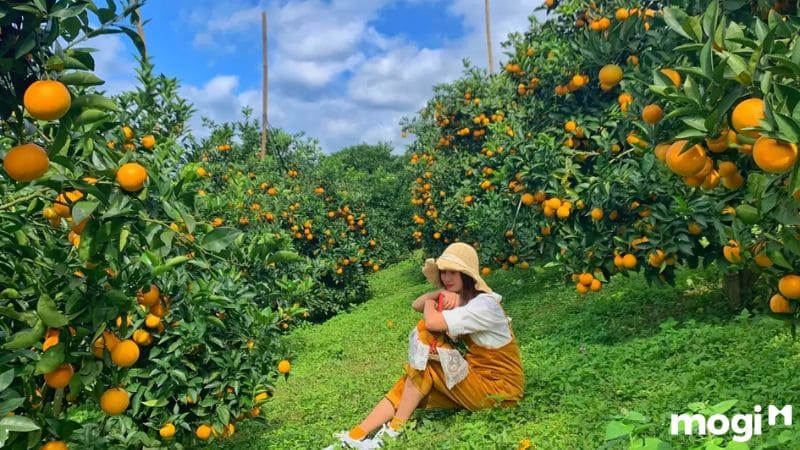 Làng Du Lịch Mỹ Khánh - Nét Đẹp Văn Hóa Sông Nước Miền Tây 11 làng du lịch mỹ khánh