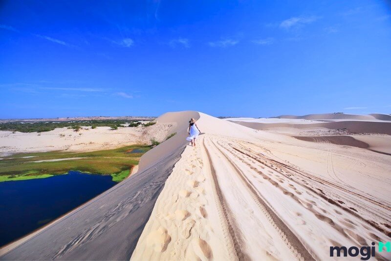 Du khách có thể thuê xe, tự lái xe của mình hoặc di chuyển từ khu vực thành phố Phan Thiết dọc theo con đường ra Hòn Rơm để đến Bàu Trắng.