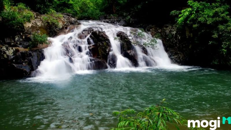 nha trang có gì chơi