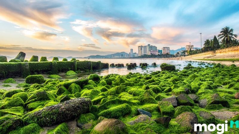 nha trang có gì chơi