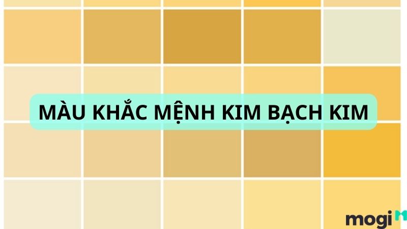 Màu hợp với Kim Bạch Kim