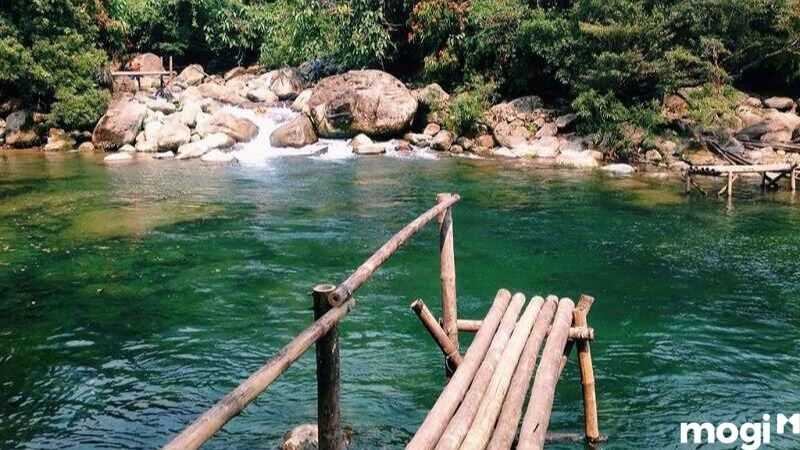 truyền trung thủy