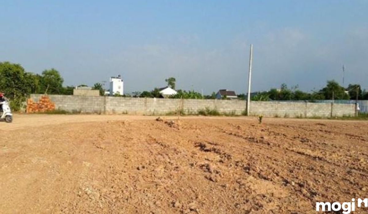 Điều kiện cho thuê đất