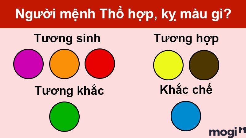 Sinh năm 1991 hợp màu gì?
