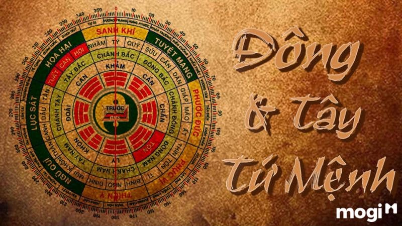 Xác định dựa trên quái mệnh