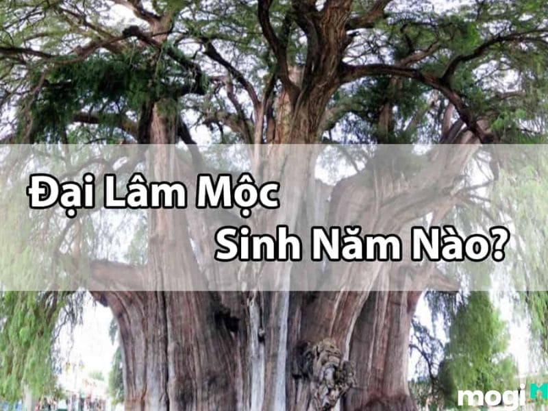 Mệnh Đại Lâm Mộc sinh năm nào?