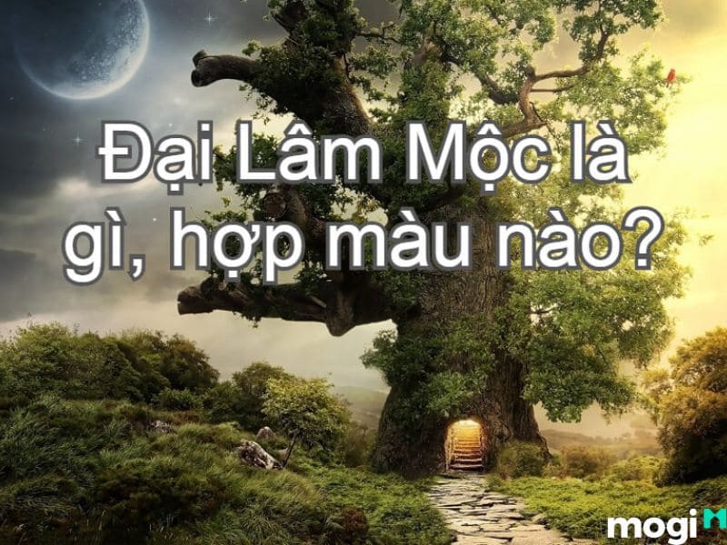 Người mệnh Đại Lâm Mộc hợp màu gì, kỵ màu gì?