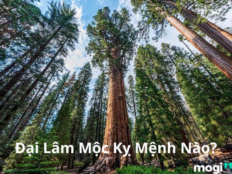 Đại Lâm Mộc kỵ mệnh gì?