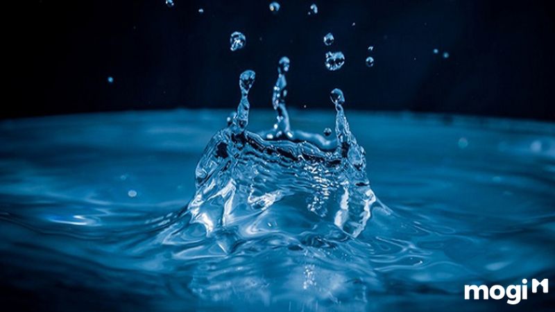 Đại Hải Thủy hợp hướng nào?