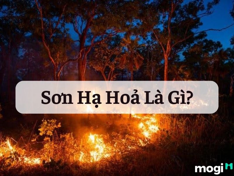 sơn hạ hoả là gì