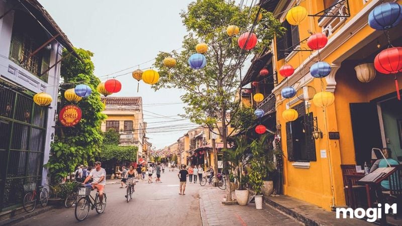 Vi vu Hà Nội